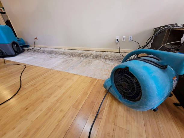Professional Water Damage Repair technician working in Kings Park, NY